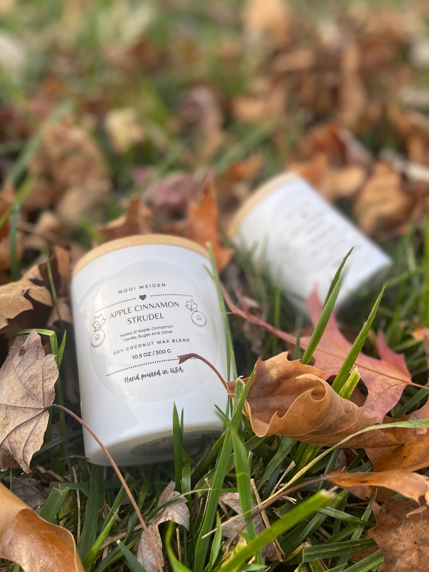 Apple Cinnamon Strudel